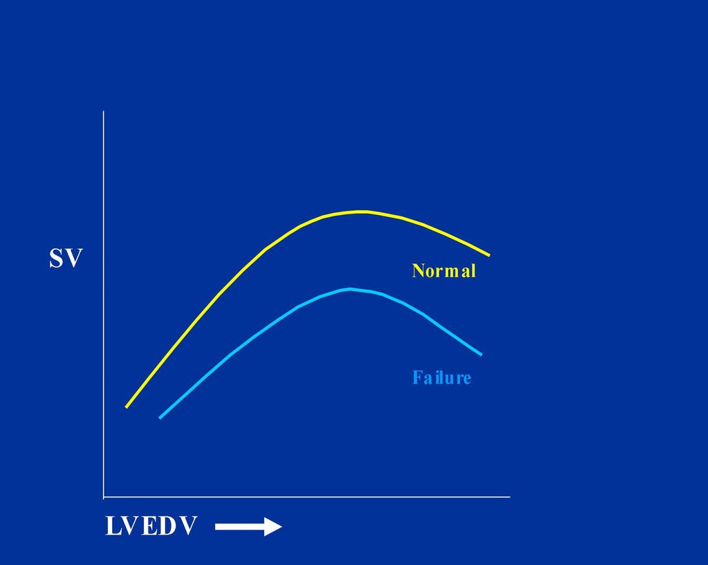 systolic. dysfunkce: Diastology!