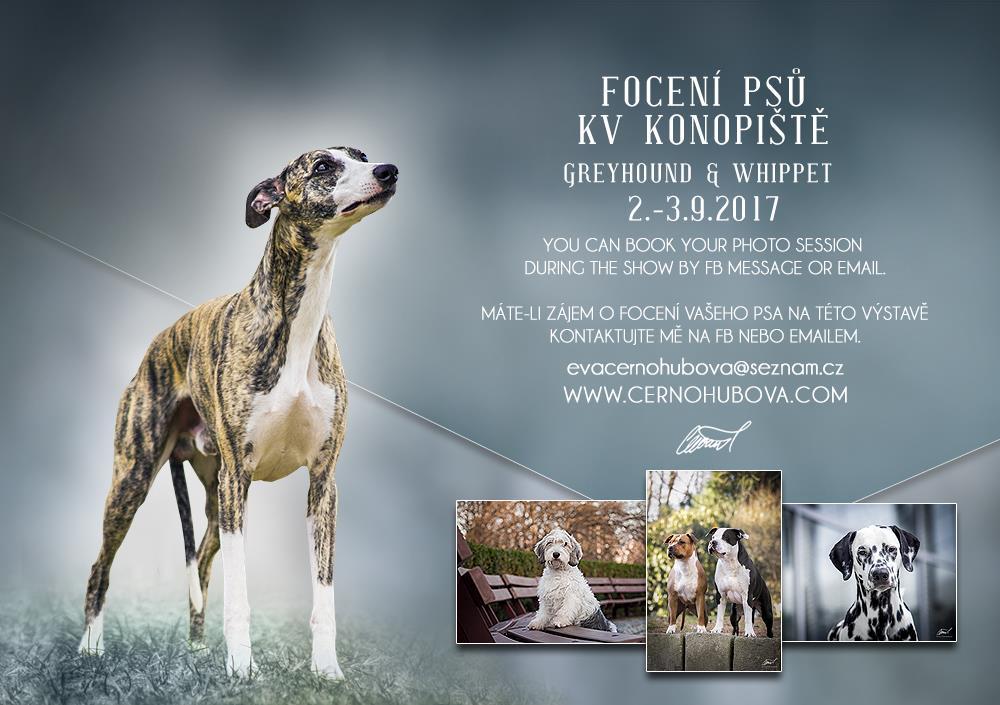 ROZHODČÍ / OUR JUDGES Ms Pauline S Oliver, UK (Spyanfly) Mrs Claire J Rishworth, UK PERSONÁLNÍ OBSAZENÍ / SHOW COMMITTEE ředitel výstavy: Aleš Fiedler přejímka psů + sekretariát: Hana Jandlová kruhy: