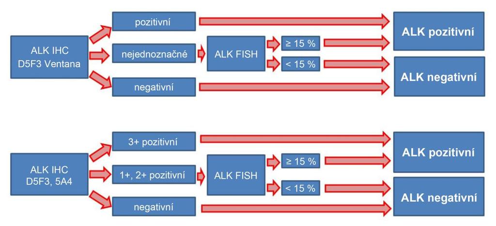 Stanovení optimálního vyšetřovacího algoritmu pro efektivní vyhledávání  nemalobuněčných karcinomů plic s přestavbou genu ALK - PDF Stažení zdarma