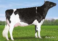 VAL-BISSON DOORMAN NXB-305 DE-SU 521 BOOKEM VAL-BISSON SHOTTLE IMELDA 04-03 305 15 535 3.7% 578 3.5% 549 kg PICSTON SHOTTLE Celoživotně: 39 418 4.2% 1 655 3.