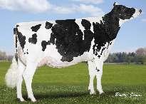 4% 277 kg JOCKO JEN 06-00 305 11 133 4.3% 484 3.3% 362 kg Celoživotně: 55 799 4.2% 2 340 3.5% 1 564 kg Stád 254 Dcer 783 Mléko +466 2264 Tuk +21 +0.03 NM$ R % 96 % Bílkovina +14 +0.00 540 PTAT 1.