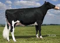 LOOKOUT PESCE HUNGER LADYS-MANOR PL SHAMROCK COOKIECUTTER MOM HUE 02-04 305 11 474 4.2% 484 3.