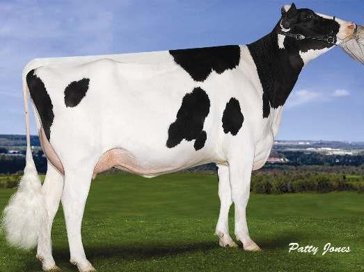 5% 2 213 kg COMESTAR GOLDWYN LILAC 04-06 305 19 612 4.6% 902 3.4% 669 kg MM: Comestar Goldwyn Lilac 04-06 305d 19 612 4.6% 902 3.4% 669 kg Celoživotně: 76 786 4.6% 3 542 3.