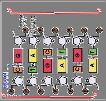 DNA Deoxyribonukleová kyselina Deoxyribonucleic acid DNA je