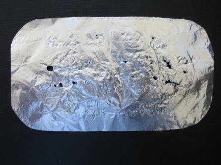 epidermidis (CCM 7221) - E.