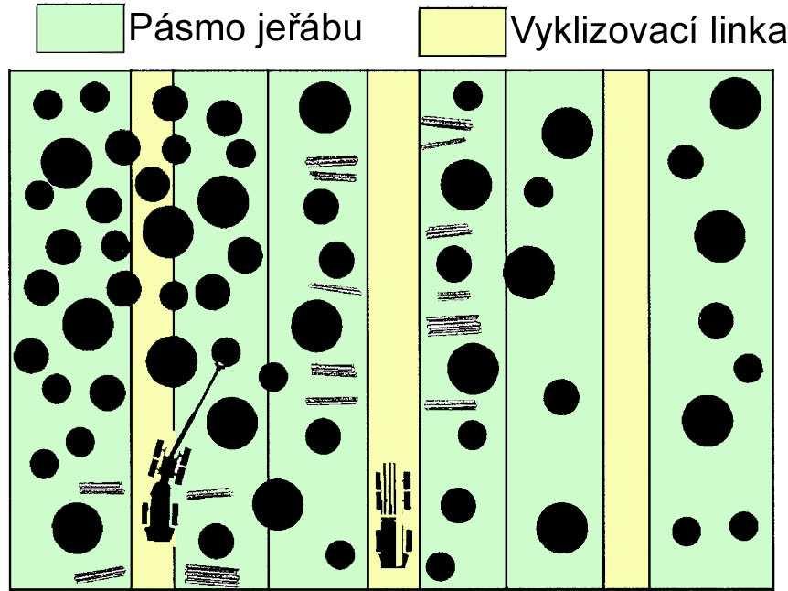 6.3. Popis porostů určených pro harvestorovou těžbu 6.3.1. Dřevinná skladba Harvestory byly konstruovány hlavně pro jehličnaté dřeviny, tj.