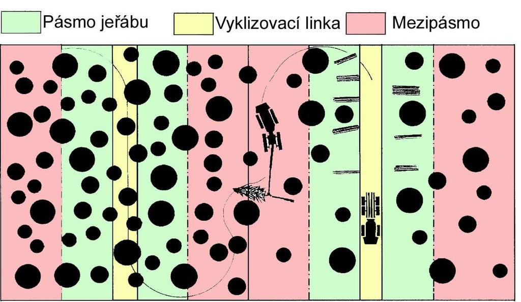 Vzdálenost linek nad 20 metrů s pomocnými linkami pro harvestor Harvestor kácí, odvětvuje a manipuluje sortimenty kolem linky. Poté přejede do již zpracovaného pásu, ze kterého zpracovává mezipásmo.