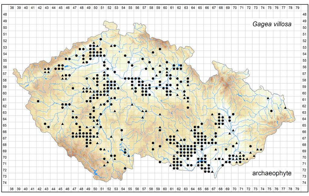 Author of the map: Michal Hroneš, Lucie Kobrlová, David Horák Map produced on: 08-08-2017 Distribution of Gagea villosa in the Czech Republic Database records used for producing the distribution map