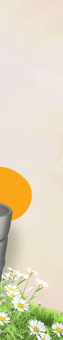 2018 NEBO DO