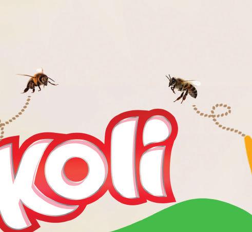 ZMĚNY V KATALOGU
