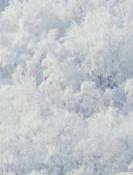 350 g AGR 69987059 AGRO Jesenice EAN:
