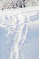 Jesenice EAN: 8590186268490 Balení: 24
