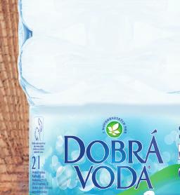 45118290 Poděbradka