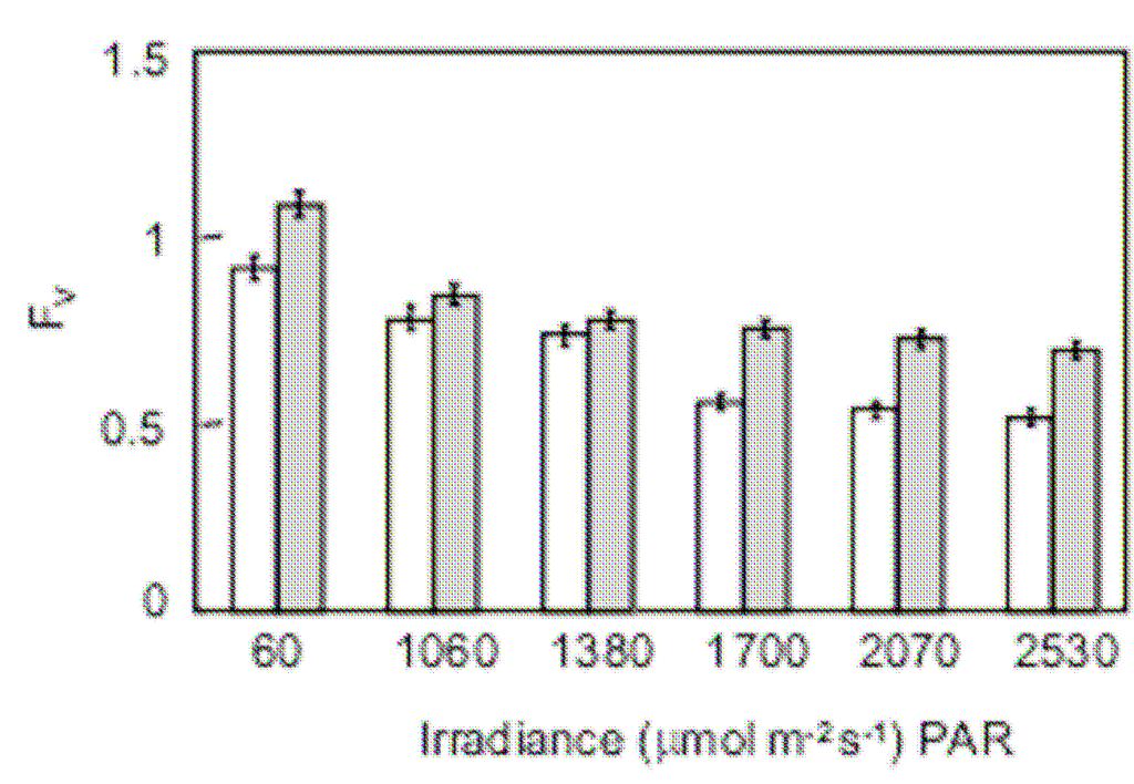 Poměr F V /F M nazývaný jako maximální (či potenciální) kvantový výtěžek fluorescence chlorofylu v temnotně adaptovaném stavu nebo též maximální kvantový výtěžek efektivity PSII poskytuje přesný