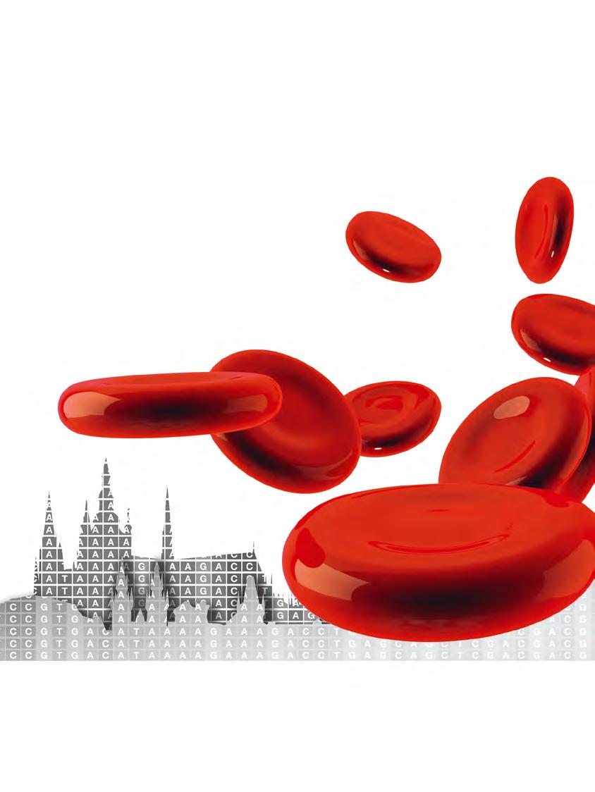 Dovolujeme si Vás pozvat na I. ČESKÝ HEMATOLOGICKÝ A TRANSFUZIOLOGICKÝ SJEZD II. OZNÁMENÍ 16. 19.