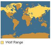 Hypotéza pes vzniknul zdomácněním vlka vlk obecný byl dominantním predátorem Eurasie a Severní Ameriky člověk s ním přichází do kontaktu po rozšíření z Afriky do Eurasie prvním společníkem člověka,