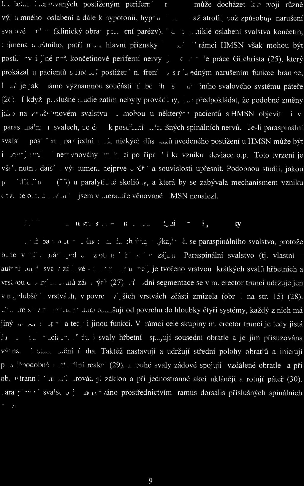 konč e tin inervovaných postiženým perifedúll1 nervem může docházet k rozvoj i různě významného oslabení a dále k hypotonii, hypotrofii nebo až atrofii, což způsobuj narušeni svalové funkce (klinický