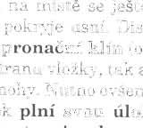 8 il ustruje pi-ípad, kdy ORT 'ka dobře koriguje supinační postavení na obou ~ác h.