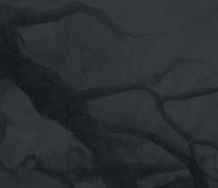 LOADING RPG ZAKLÍNAČ ZAKLÍNAČ Kterak se z ošklivého káčátka ověšeného licencemi rodí svébytný epos o bělovlasém zabijákovi Z aklínač je báječná hra, kterou sleduje téměř