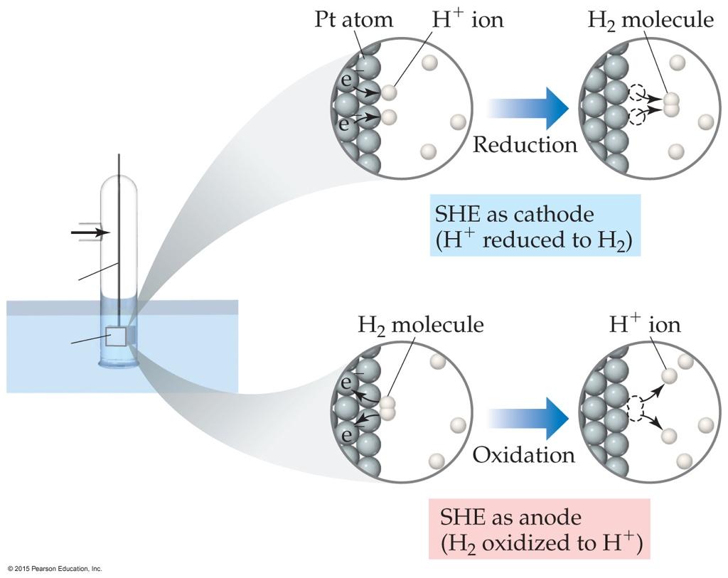 štandardná vodíková elektróda - (ŠVČ) platinový pliešok pokrytý platinovou čerňou, ponorený do roztoku HCl s a(h3o + )=1 pri tlaku 100 kpa a teplote 25 C, H2 čistá plynná látka Pt atóm H + ión