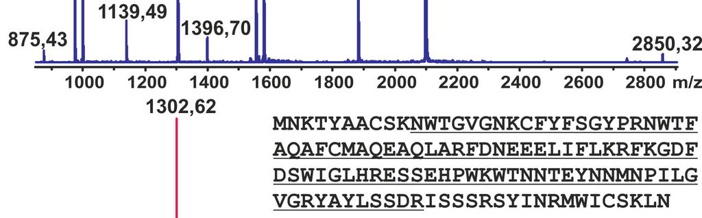 Obr. 27: Spektra z peptidového mapování proteinu Clrg. Nahoře (modře) je spektrum neredukovaného proteinu, červeně je peptidová mapa redukovaného a alkylovaného proteinu.