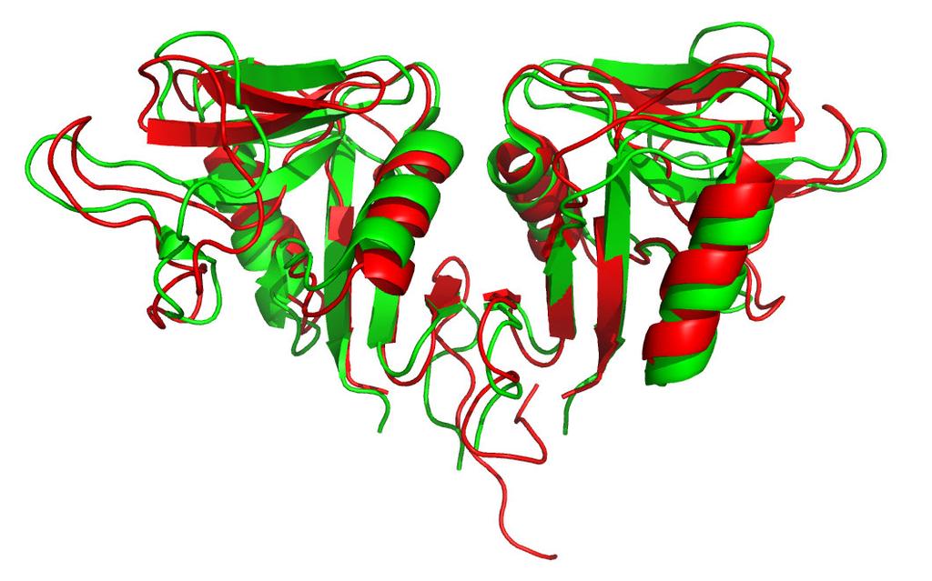 Sekvenční srovnání bylo provedeno programem ClustalW [182]. Sekvenční identita byla stanovena na 38 %, což odpovídá tomu, že na úrovni sekundární struktury jsou si oba proteiny velmi podobné.