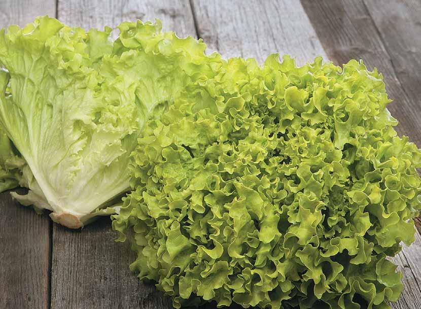 Tudi na Sparovi tržnici vas čakajo izbrana