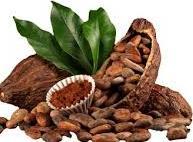 obsah v % Čokoláda -hořká čokoláda Mléčná čokoláda kakaového másla tukuprosté kakaové sušiny celkové kakaové sušiny mléčného tuku celkového tuku mléčné sušiny