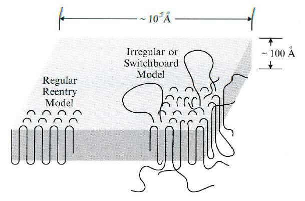 10 µm 0.