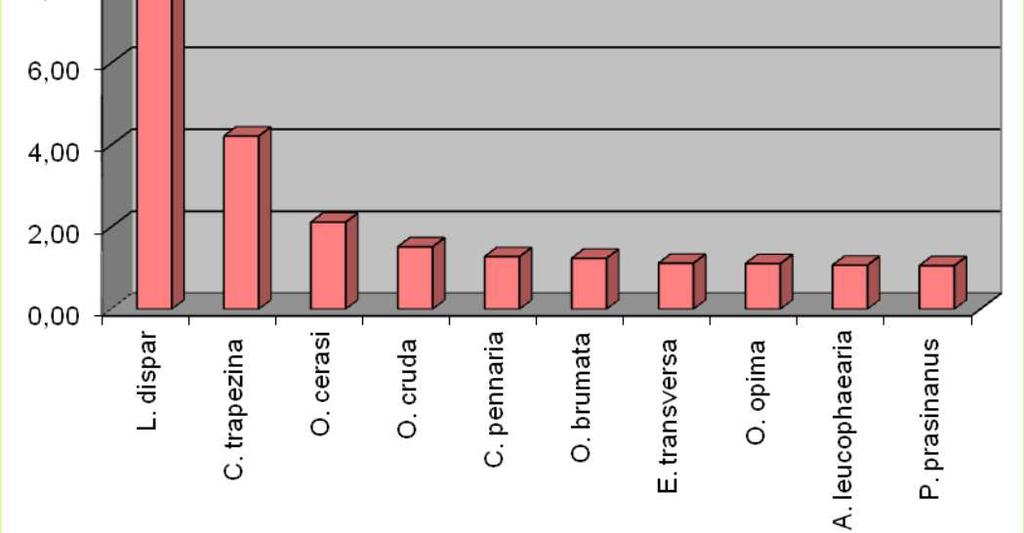 cerris (na 1000 konárov)