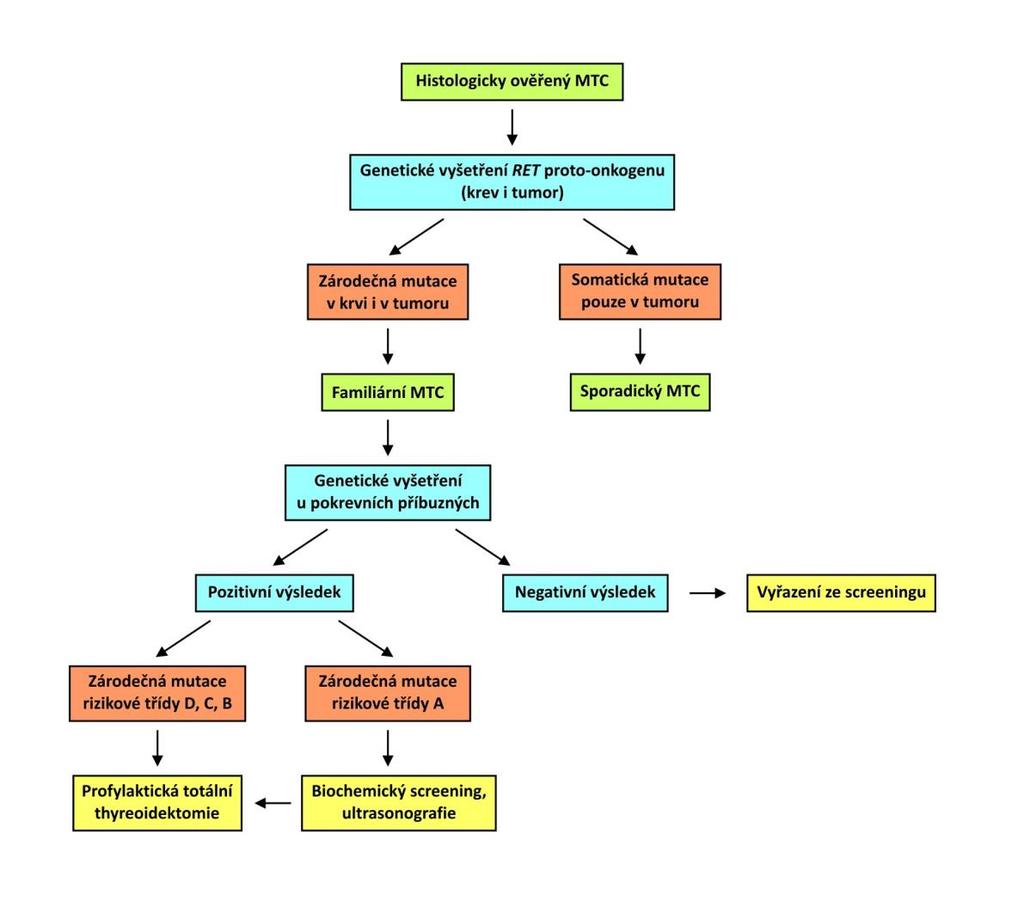 1.3.7 Molekulárně genetický screening a management u pacientů s MTC Vzhledem k možnostem molekulárně genetického vyšetření se v rodinách s familiární formou MTC zásadně změnila prevence a léčba MTC