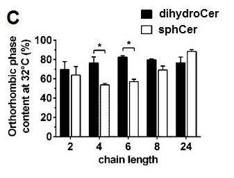 faktor ARNT (Aryl hydrocarbon Receptor Nuclear Translocator; regulující genovou expresi v procesech odpovědi na vnější vlivy, např.
