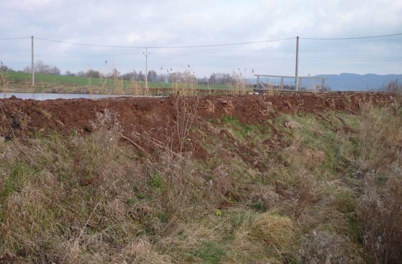 Obr. 6.11 Stanoviště 2 navýšení zemní hráze rybníka, 25.11.2010 (Pařílková, 2010) Třetí stanoviště (obr. 6.12) je situováno do oblasti profilu č. 8 9 (obr. 6.9).