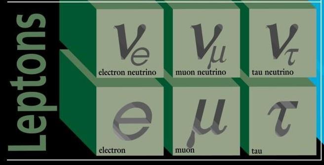 Leptony Mezi leptony (řecky λεπτός - drobný) patří například elektron. Všechny leptony jsou fermiony.