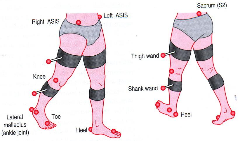 Podle Modified Helen Hayes modelu (Obrázek 13) jsou značky umístěny na těchto bodech pánve a dolních končetin: spina iliaca anterior superior (levá i pravá), os sacrum v úrovni 2.