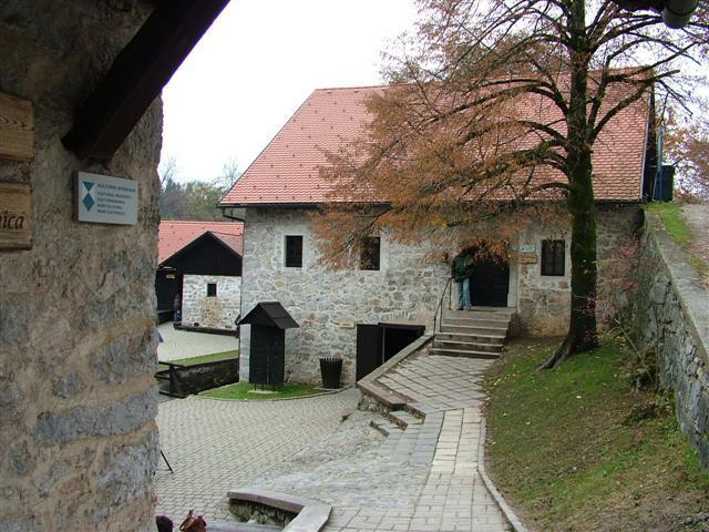 Velikost skupine: 10 dijakov III.