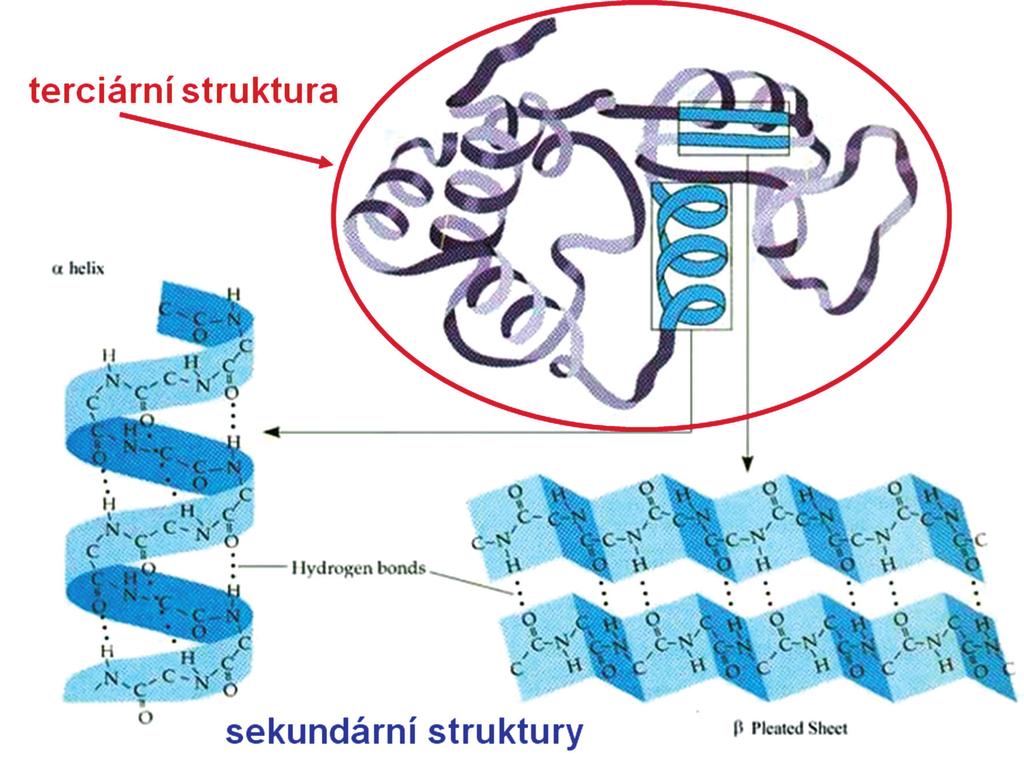 V rámci systémů pro hodnocení proteinových krmiv se pro zjednodušení obvykle předpokládá, že aminokyselinové složení RUP, tedy bypass proteinu, je shodné se složením původního proteinu krmiva.