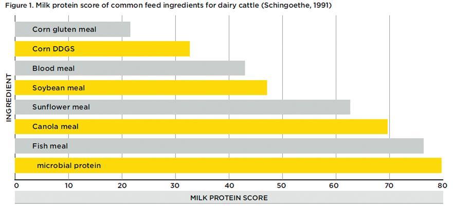 aminokyselinovým skórem mléčného proteinu (viz Obr. 5), přičemž potenciální velikost mléčné produkce určuje limitující aminokyselina pro danou krmnou dávku na základě Liebigova zákona minima (Obr.