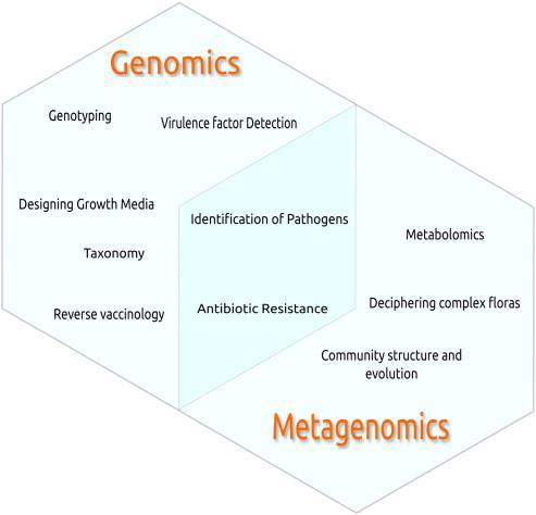 Metagenomika: studium mikrobiálního složení v různých typech prostředí (střevní mikroflóra, zubní plak, půda,