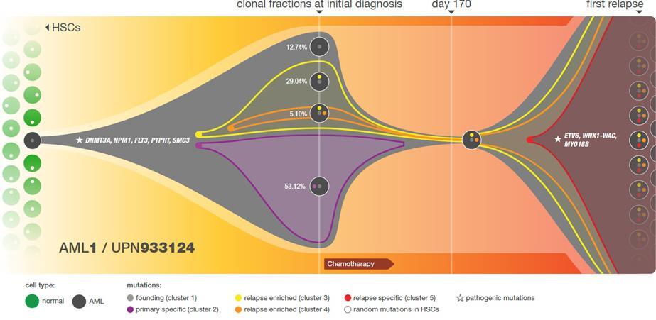 Studium klonální evoluce AML pomocí WGS: identifikace somatických mutací