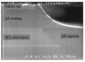 Cross section image of a Au electroplated QCL.