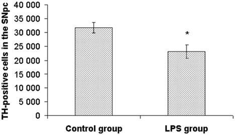 Profiling of a Rat Model of Early Immune Stimulation Figure 6. Number of TH-positive cells in the substantia nigra, pars compacta. Values represent mean SEM (* indicates p<0.