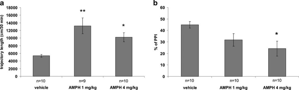 Psychopharmacology Fig. 3 The effect of amphetamine (AMPH) on total locomotion and on prepulse inhibition (PPI) of acoustic startle reaction (ASR).