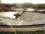 zoogloeální kolonie bez zakoncentrování vláknitých mikroorganismů Tenzidová pěna