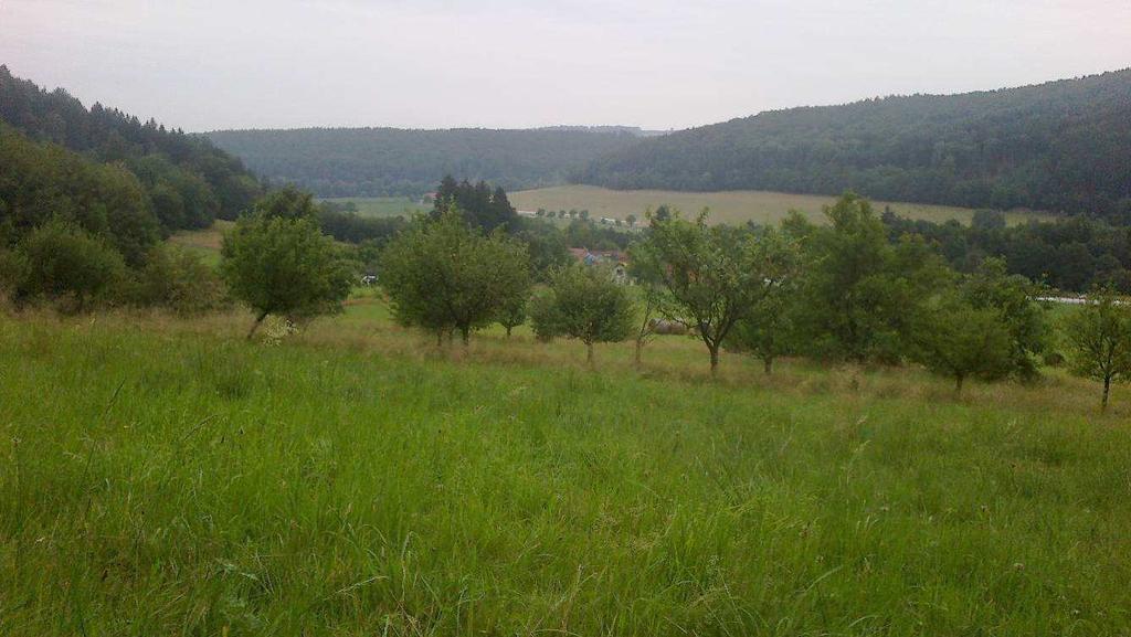 PLÁN SPOLEČNÝCH ZAŘÍZENÍ (etapa 3.