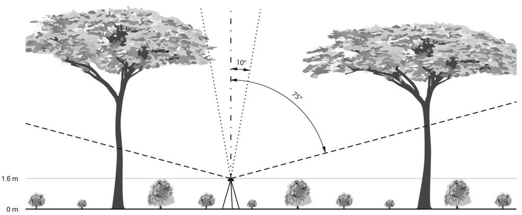 EHRENBERGEROVÁ, L., KUČERA, A., CIENCIALA, E., TROCHTA, J., VOLAŘÍK, D. Identifying key factors affecting coffee leaf rust incidence in agroforestry plantations in Peru. Agroforestry systems.