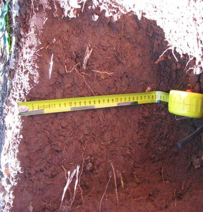Rovinaté terény a malé sklony svahu jsou nejvhodnější pro založení kávových plantáží, protože jsou zde většinou hluboké půdy, dobrá vodní retenční kapacita a lze zde použít mechanizaci.