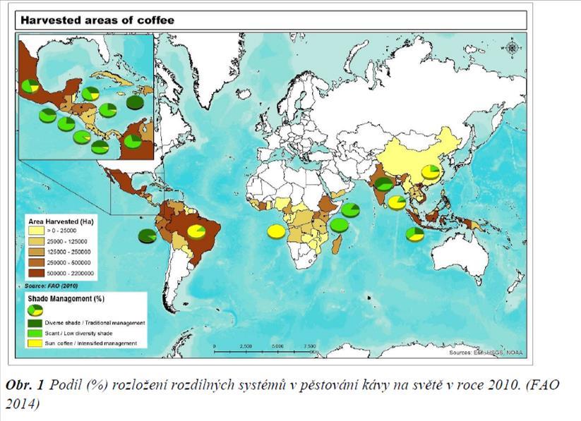 (2) Škody způsobené environmentálními problémy, zejména znečištěním půdy a vody (Boyce et al. 1994). (3) Zvýšení vodního stresu nezastíněných rostlin kávovníku (Wintgens 2012).
