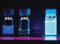 Zvýšení intenzity fluorescence ANS po vazbě na lidský sérový albumin ANS (1-anilinonaftalén-8-sulfonát sodný): MW = 321,33 rozpouštědlo pro zásobní roztok: dimetylformamid (DMF) rozpouštědlo pro