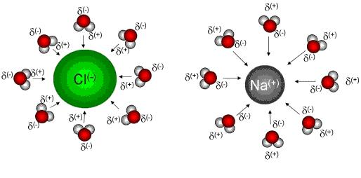 Interakce ion dipól typické síly při solvataci iontů - interakce